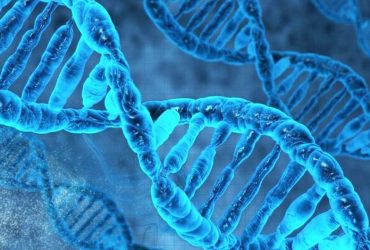 تولید نانوفناورانه کیت‌های DNA و RNA در کشور