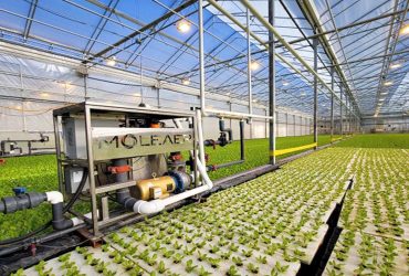 انتظار چه میزان ازدیاد برداشت محصول را با نانوحباب داشته باشیم؟