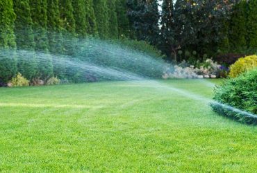 فضای سبز شهر اصفهان با پساب تصفیه شده با نانواوزون آبیاری می‌شود