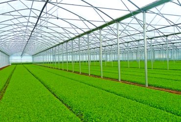 توسعه کاربرد سامانه نانوحباب در گلخانه‌های خاکی کشور