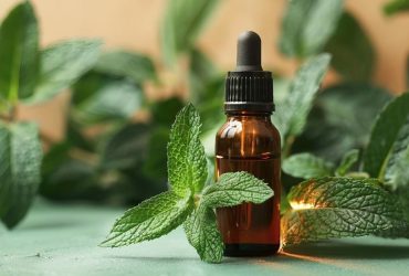 طعم‌دهنده نعنا با فرمولاسیون نانویی، ترکیبی طبیعی با خواص درمانی و بهداشتی