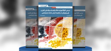 گزارش صنعتی بررسی نانوکامپوزیت‌های پلیمری بر پایه پلی‌اتیلن و پلی‌پروپیلن در زنجیره ارزش صنعت پتروشیمی