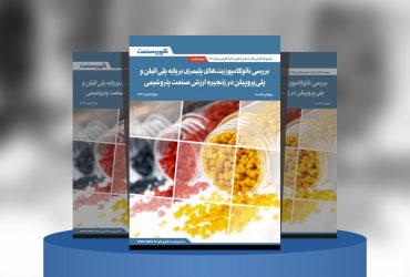 گزارش صنعتی بررسی نانوکامپوزیت‌های پلیمری بر پایه پلی‌اتیلن و پلی‌پروپیلن در زنجیره ارزش صنعت پتروشیمی