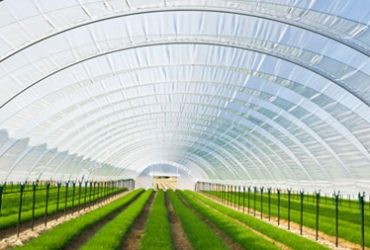 نشست مشترک پارسا پلیمر شریف و نشنال جئوگرافیک: “پلاستیک یا این سیاره؟”