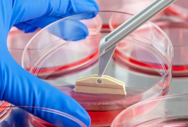 رشد سریع‌تر بافت سه‌بعدی روی داربست نانویی یک شرکت دانش‌بنیان