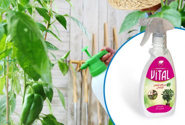 تولید حشره‌کش گیاهی و نانو در ایران