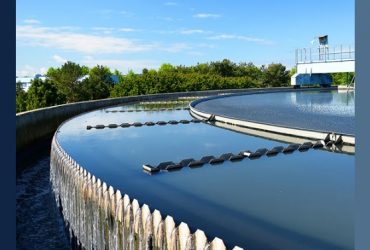 مشارکت نانوآریسا پوشش در ساخت سازه‌های ساحلی بندرانزلی