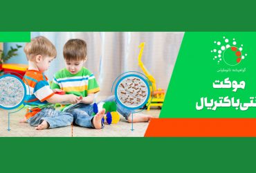 تولید و عرضه موکت های نانویی در کشور