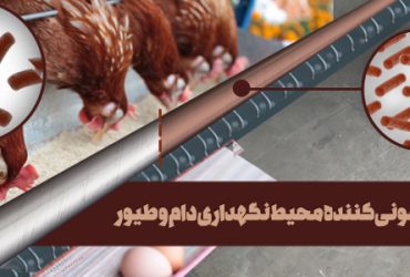 ظرفیت فناوری نانوی کشور در پرورش دام، طیور، ماکیان و سلامت غذایی
