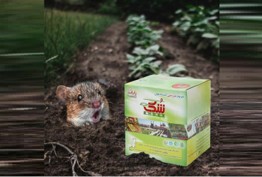 راه حل نانوفناورانه ایرانی در مقابل موش‌های خیابانی