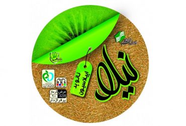 نانومحصول ایرانی؛ پد اپیلاسیون ضدباکتری