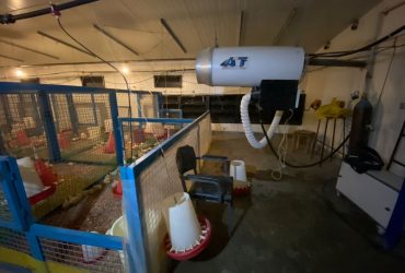 همکاری صنعت و جامعه علمی، برای بررسی عملکرد نانوحباب در صنعت مرغداری