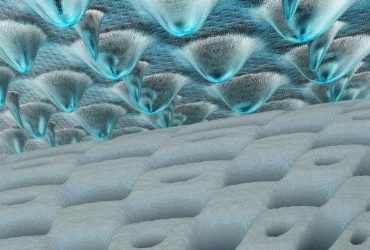 کاربردهای نانومواد سلولز در صنایع مختلف (گزارش عمومی نانوسلولز)