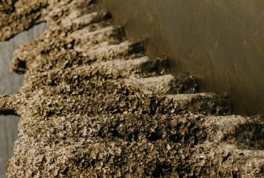 کاربرد فناوری نانو در رنگ‌های آنتی‌فولینگ