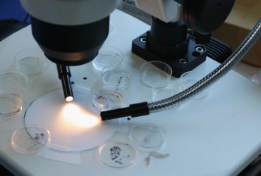 کاربرد نانوزیست‌حسگرها در تشخیص مولکول‌های زیستی