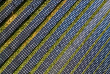 سلول‌های خورشیدی رنگدانه‌ای