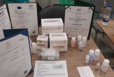 معرفی فرصتهای تجاری و صنعتی فناوری نانوی ایران در همایش تولید تجهیزات پزشکی دانش بنیان