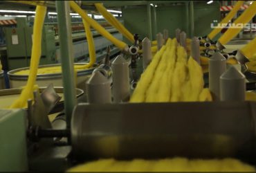 ویدیوی تولید فرش آنتی‌باکتریال با استفاده از فناوری نانو