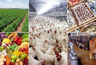 عرضه محصولات و خدمات مبتنی بر فناوری نانو در نمایشگاه اگروفود