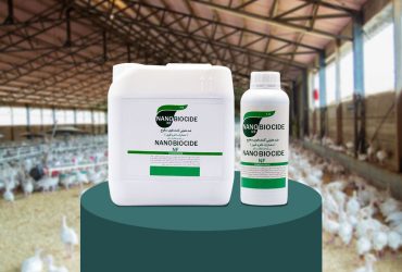 نانوضدعفونی‌کننده ایرانی برای دام و طیور