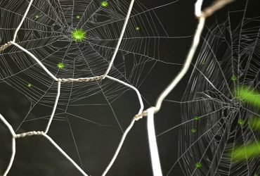 چرا ماسک نانویی در روزهای آلوده بهتر از ماسک‌های معمولی است؟