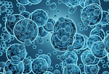 انتشار گزارش تحلیل پتنت‌های حوزه نانوحباب در بخش کشاورزی و پساب موادغذایی