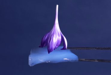 عملکرد تجهیزات نفتی با ماده‌ای بهبود می‌یابد، که سبک‌تر از هوا است