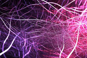 حمایت از توسعه محصولات مبتنی بر نانوالیاف